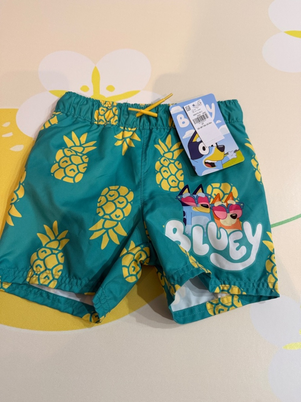 Bluey Pineapple Print Teal Kids Swim Shorts with Drawstring Waist